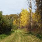 Autumn in West Kootenay<br>Осень в Западном Кутенае
