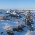 Winter in the Prairies
 / Зима в прериях