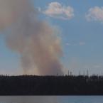 Пожары на горизонте
 / Remote Forest Fires