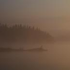 Morning Mist
 / В тумане