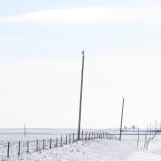 Winter in the Prairies
 /   