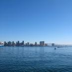 San Diego Harbour
 /  -