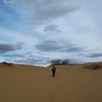 Sand Dunes in a Desert
 /    