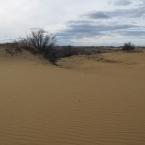 Sand Dunes in a Desert
 /    