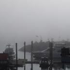 Misty Morning in Port Hardy /    -