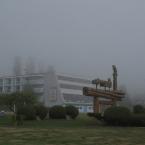 Misty Morning in Port Hardy /    -
