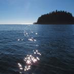 From Kyuquot to Spring Island
 /    