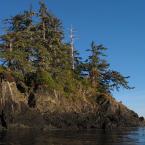 From Kyuquot to Spring Island
 /    
